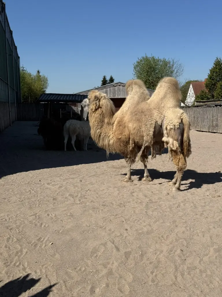 ausflug-freizeitpark-memleben