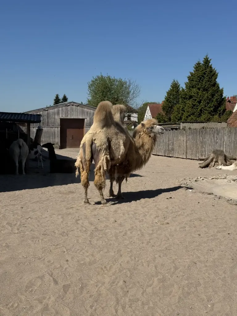 ausflug-freizeitpark-memleben