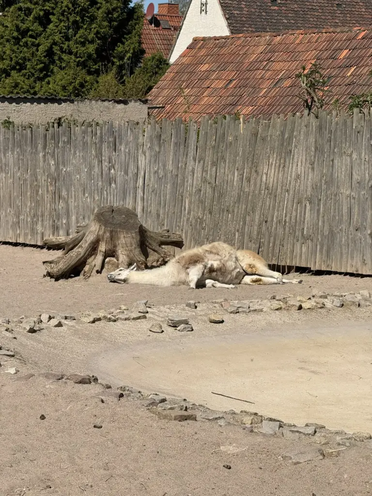 ausflug-freizeitpark-memleben