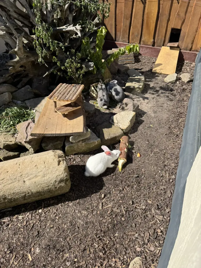 ausflug-freizeitpark-memleben