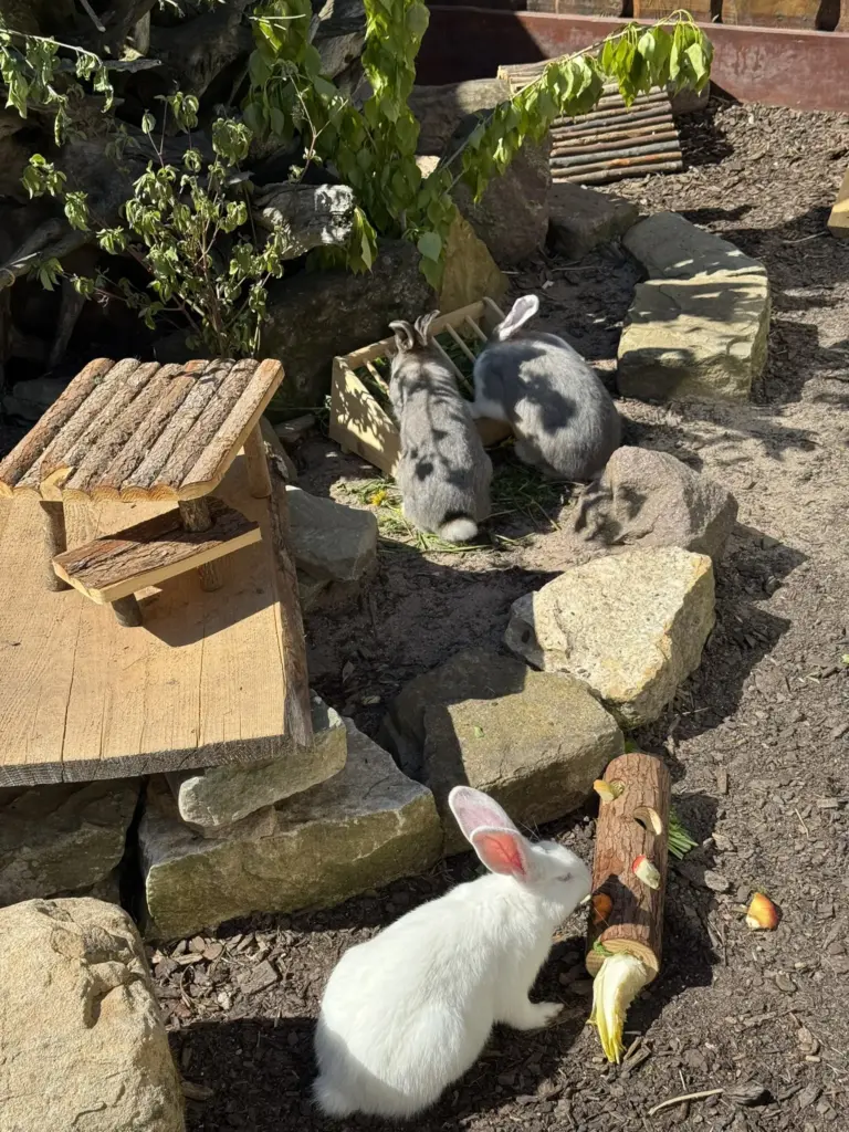 ausflug-freizeitpark-memleben