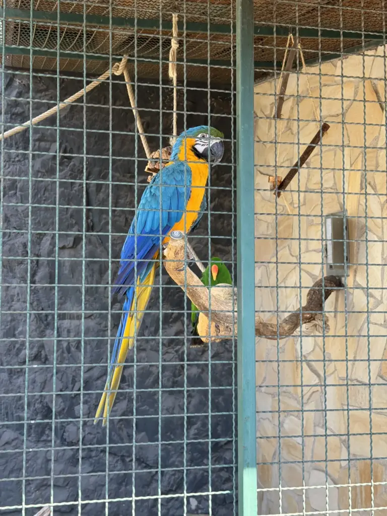 ausflug-freizeitpark-memleben