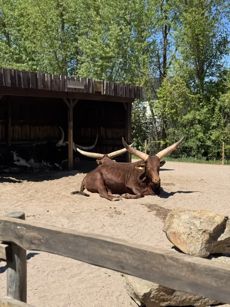 ausflug-freizeitpark-memleben