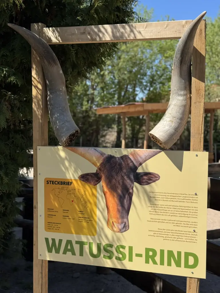 ausflug-freizeitpark-memleben