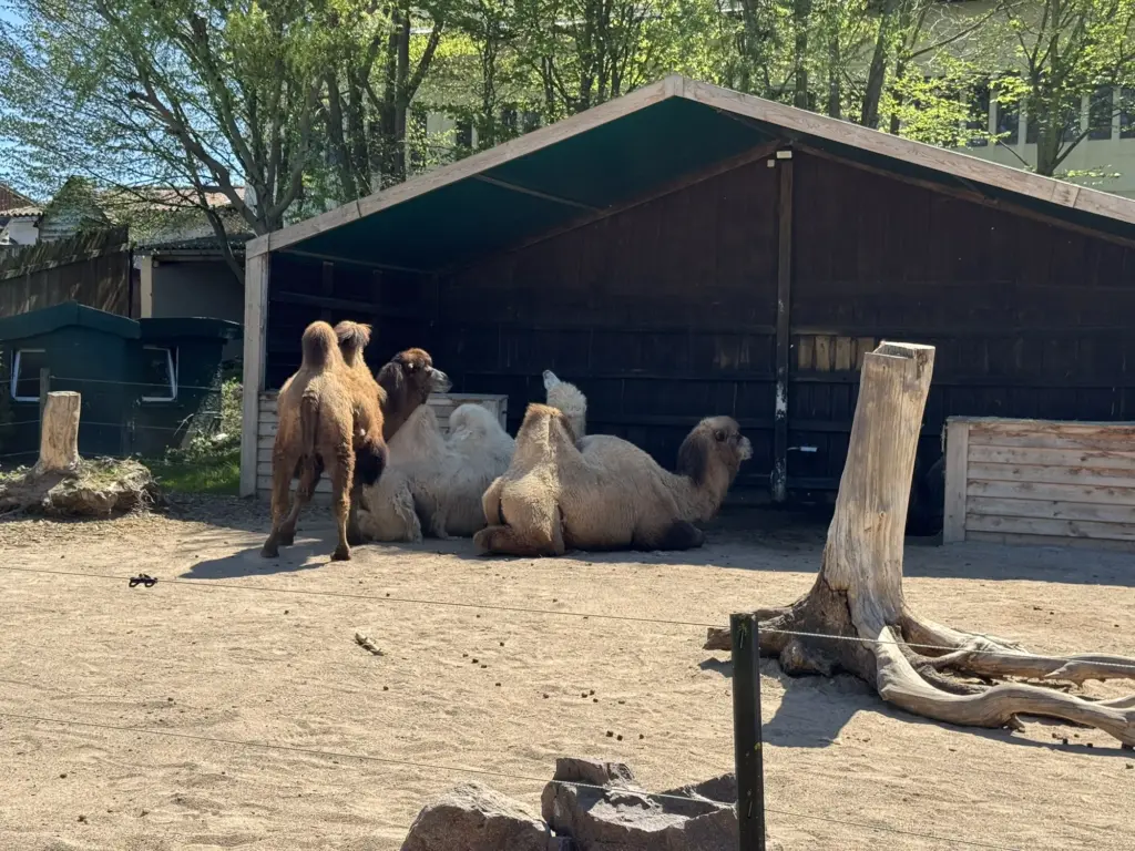 ausflug-freizeitpark-memleben