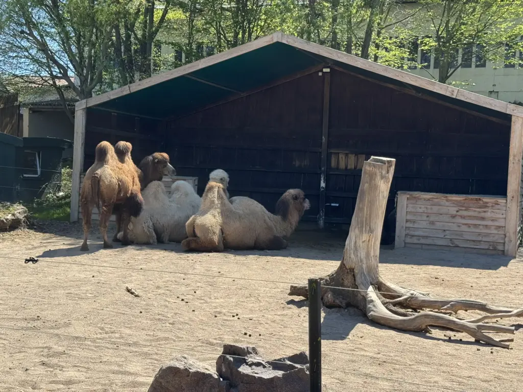 ausflug-freizeitpark-memleben
