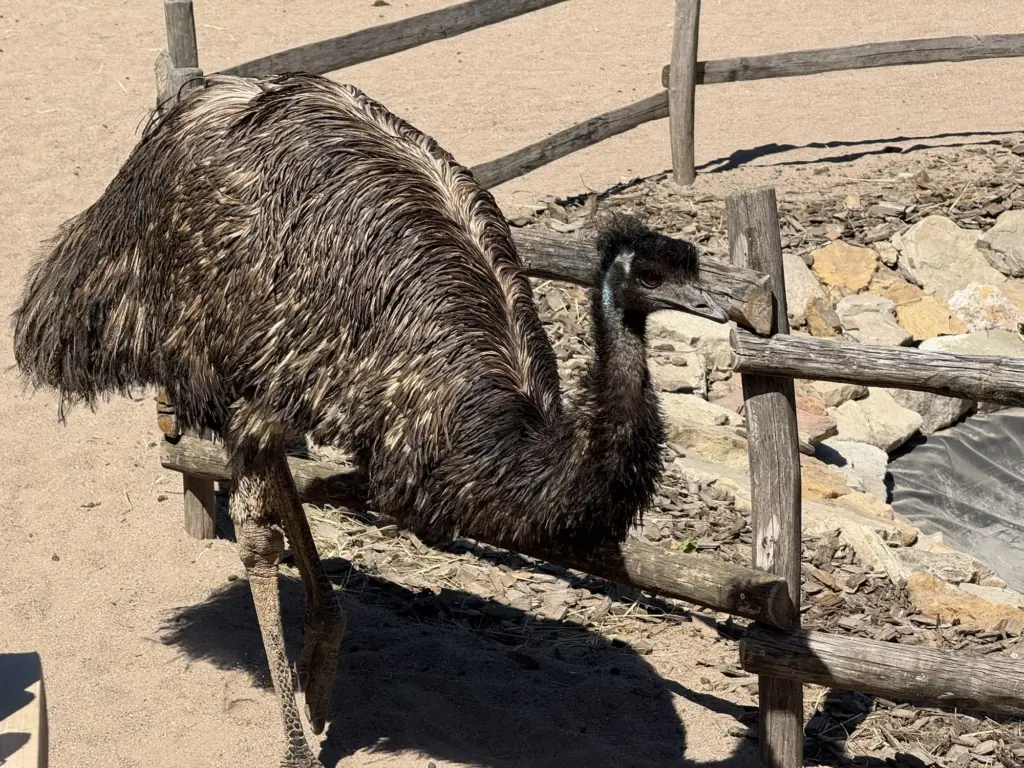 ausflug-freizeitpark-memleben