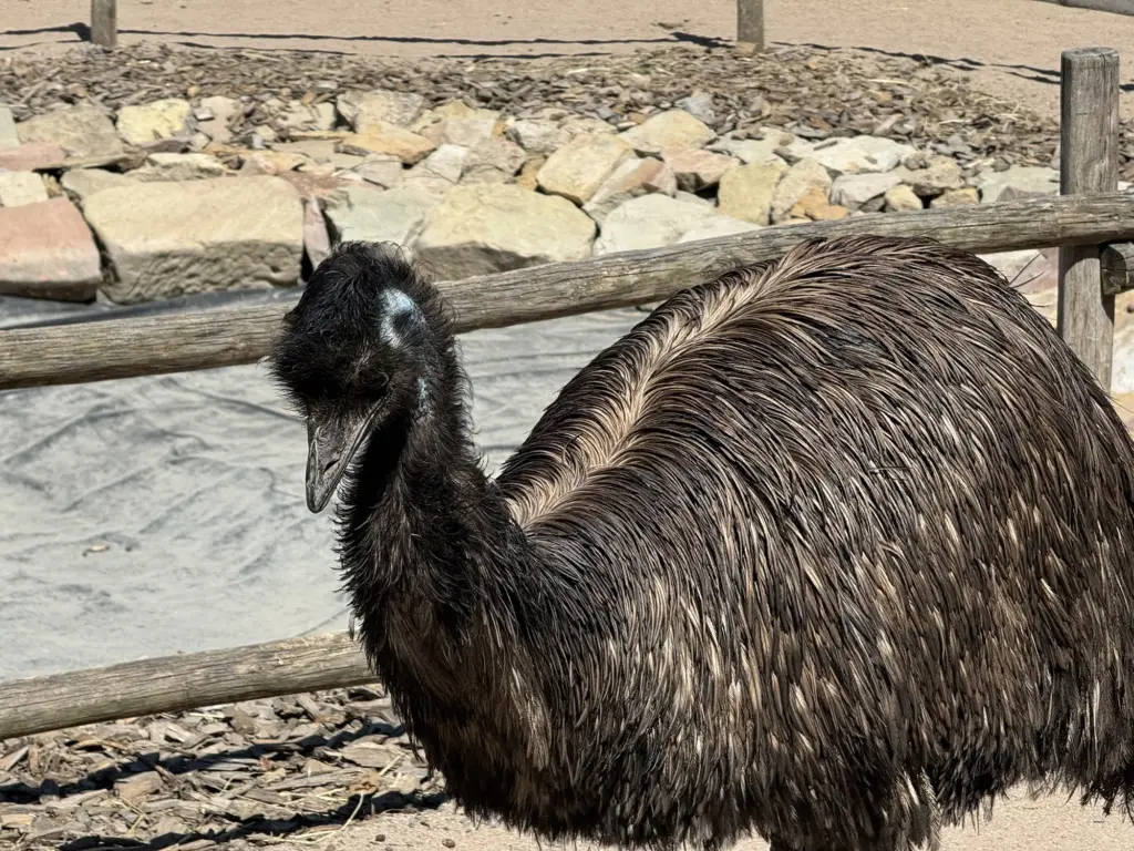 ausflug-freizeitpark-memleben