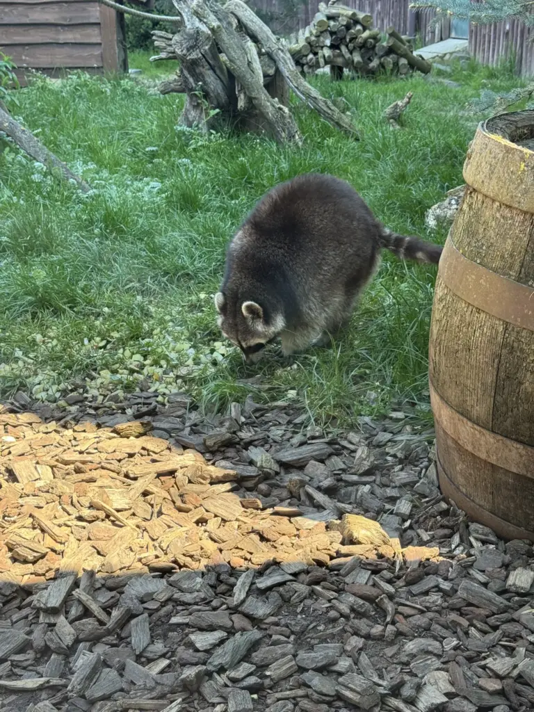 ausflug-freizeitpark-memleben