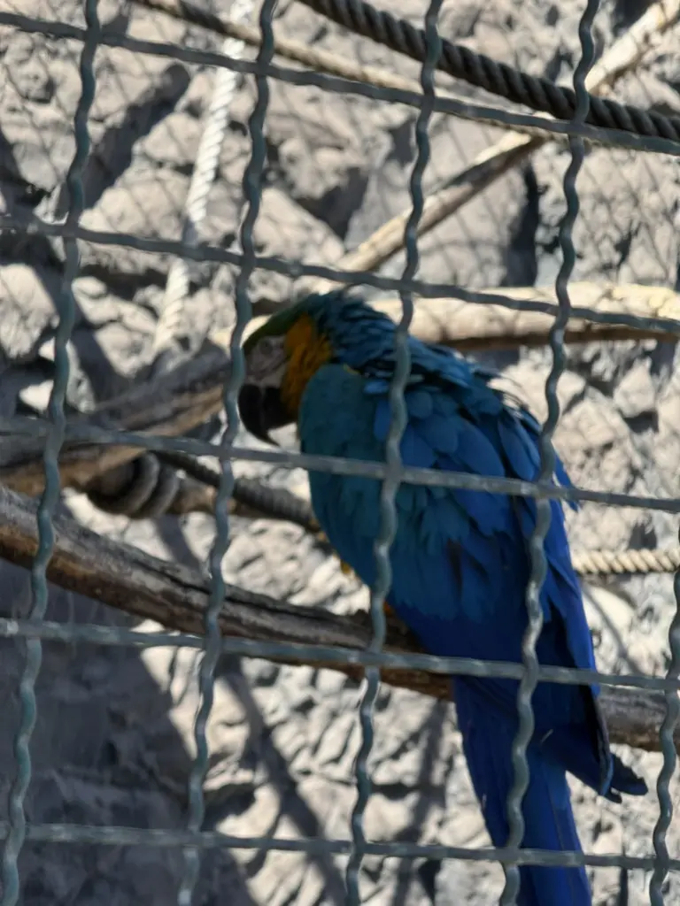 ausflug-freizeitpark-memleben